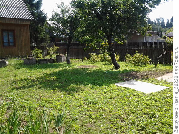 вид от мастерской