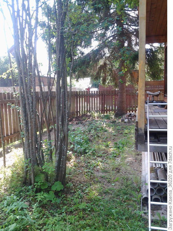 от калитки у первого дома. Ель спилена. Расстояние от крыльца  до забора 3м. Ирга растет, её оставляем. До ели от угла дома расстояние было 4,5м.а