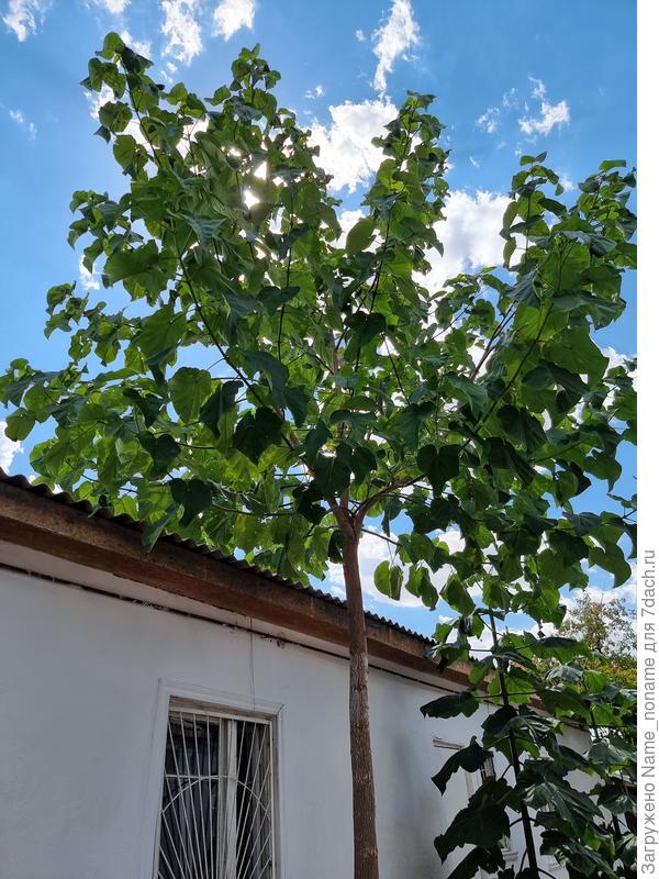 Фото от 12 августа 2024 года