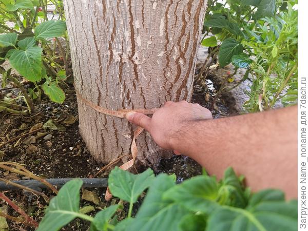 Фото от 7 сентября 2025 года