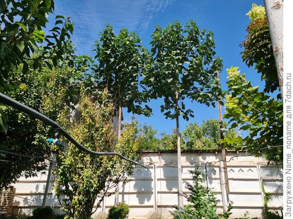 Фото от 7 сентября 2025 года