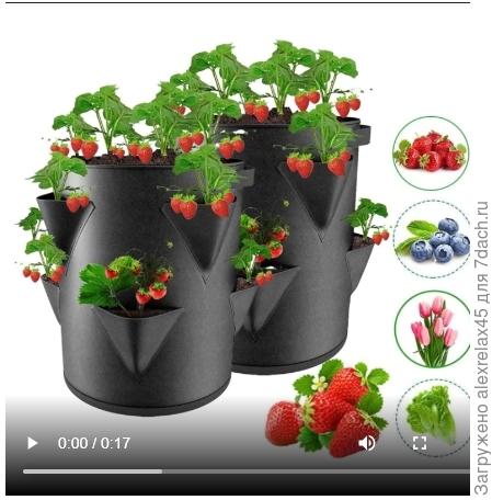 Хочу вот так