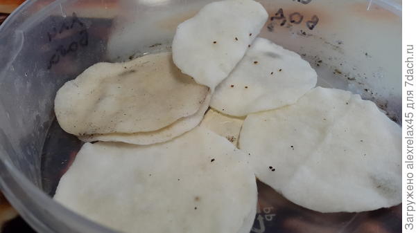 Тампоны, вода с перекисью водорода