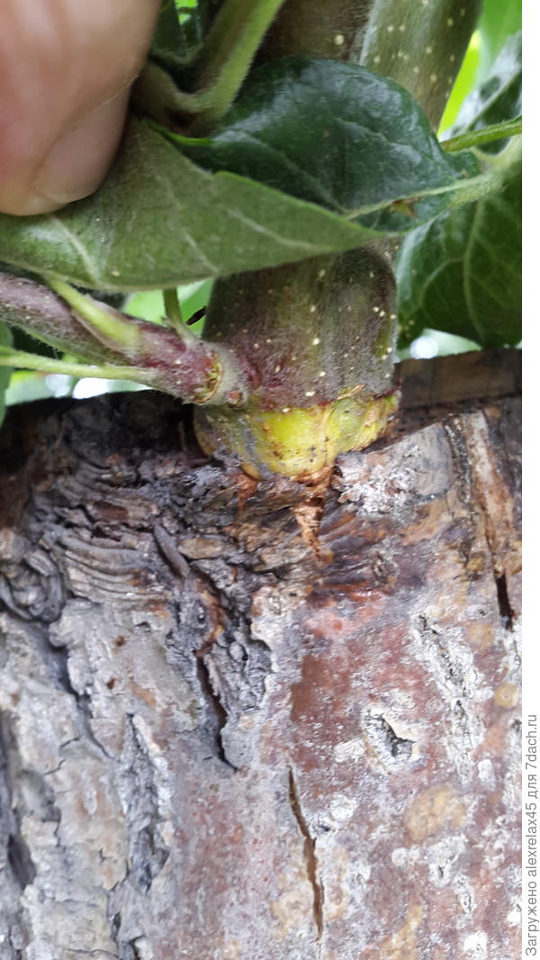 Сложно что-то понять