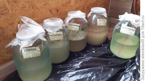 чтобы лоджия не пустовала