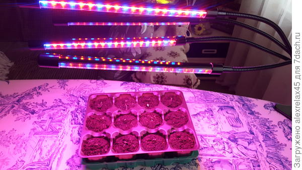 сцена временная, потом сделаю подставку на подоконник