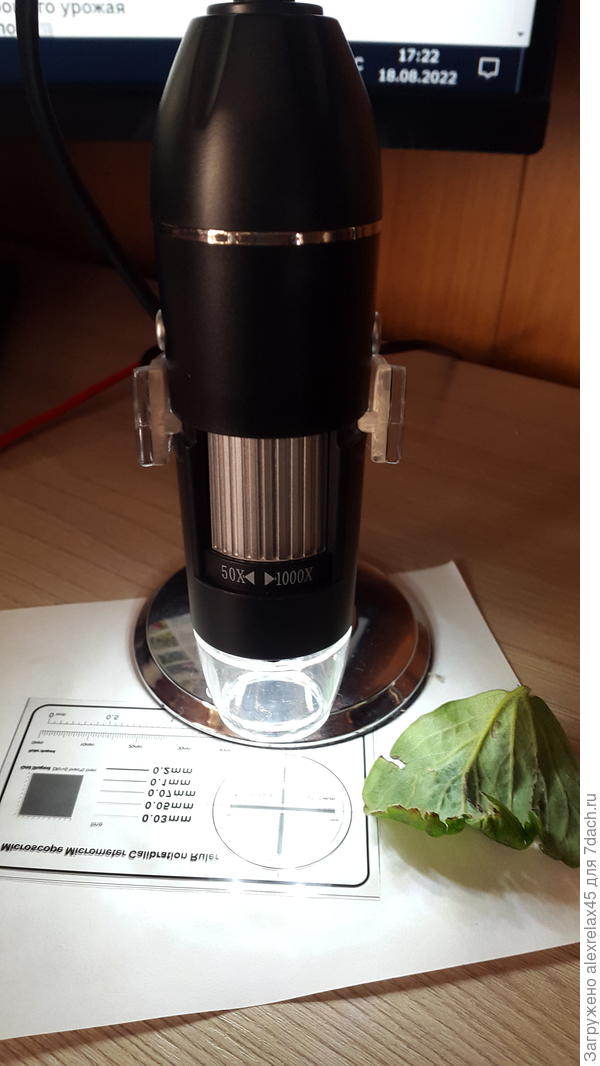 Такой вот бюджетный девайс, увеличение норм., матрица дешевая