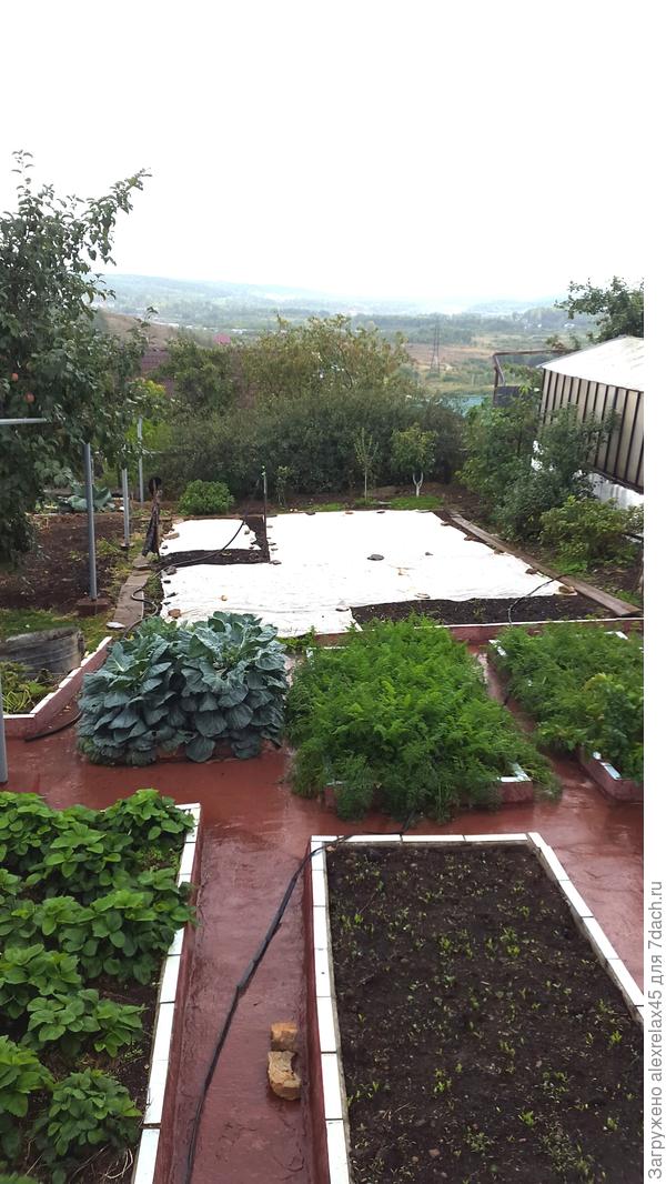 Прячем семки от воробьишек