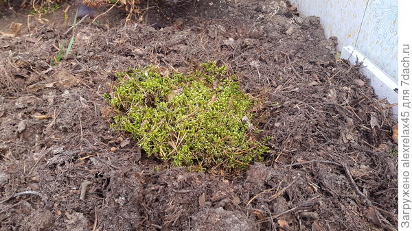 Вот так примерно.