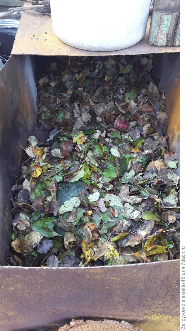 Пусть здесь пока полежит, сюда же можно кухонные отходы, немного верховой земли, сдобрить биопрепаратами, к следующей осени созреет.