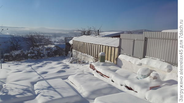 Голубику, грушу мелкую упрятал под ковролин. У груши побольше и черешни перемотал стволики спанбондом.