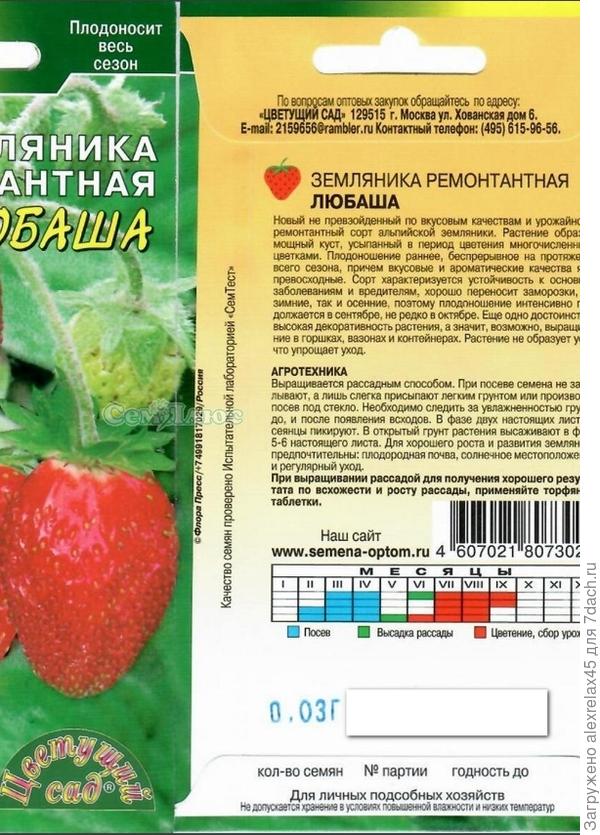 Правдивая и неполная информация, вес ягод не указан, на фото не очень-то на альпийскую походит