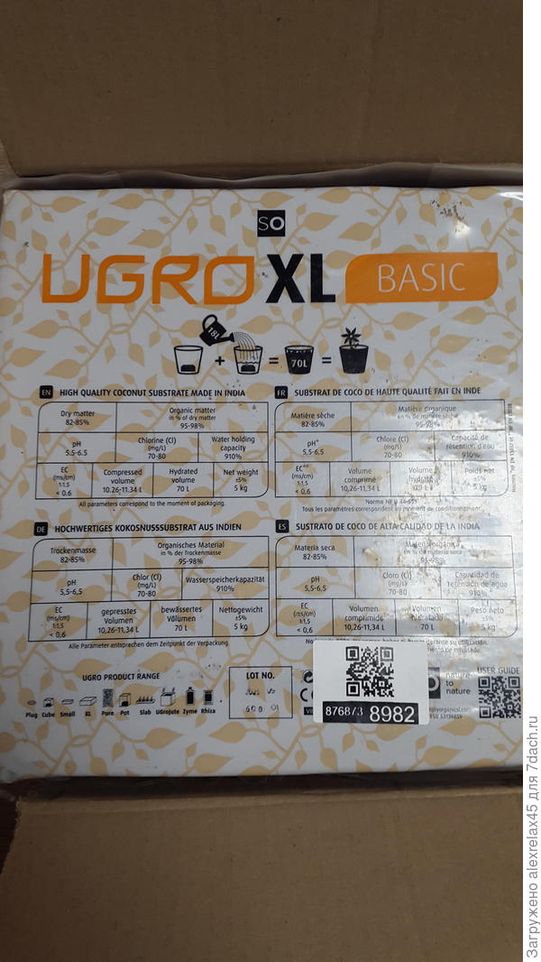 кокос - он и в Индии кокос