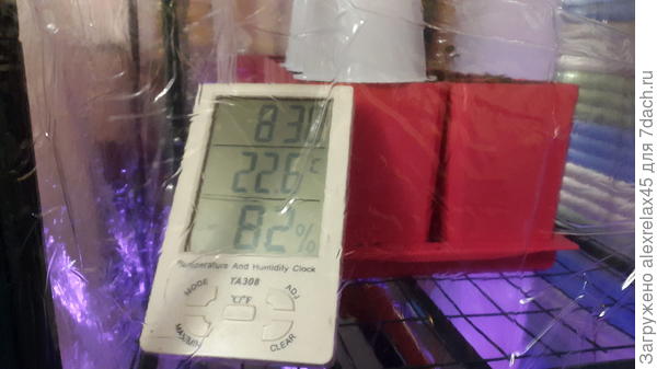 в районе верхней полки