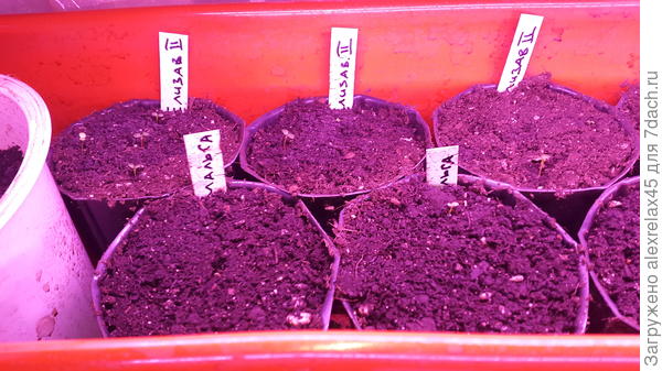 1.5 суток без укрытия, пока не падают