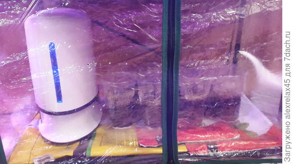 рядышком с увлажнителем