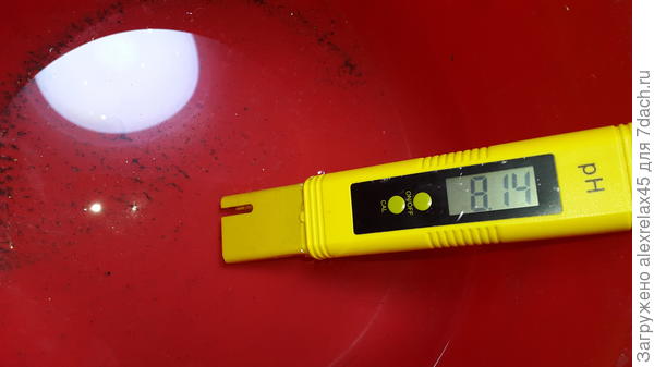 Вода из талого снега. Забор снега делаю, сняв верхний грязный слой и , тем не менее : то, что на дне ведра - это осадок с 3-х вёдер снега ( в пересчете на одно полное воды )