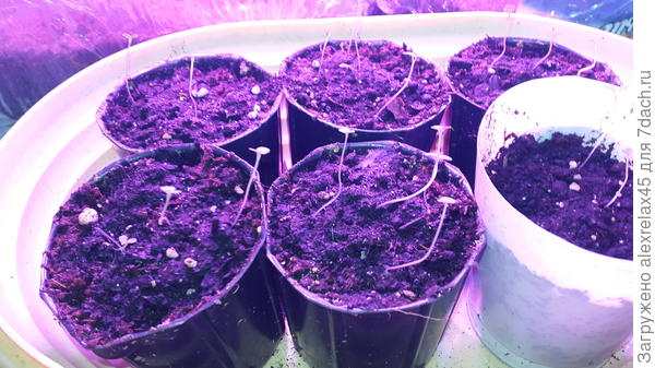 Не знаю, что теперь будет...не падают