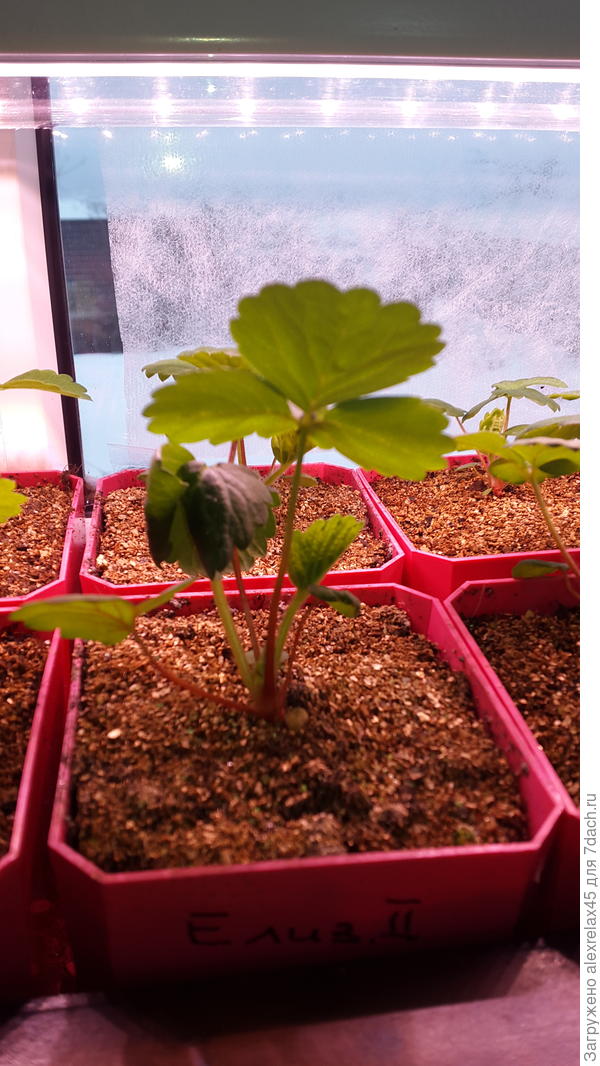 Вот так его завернуло