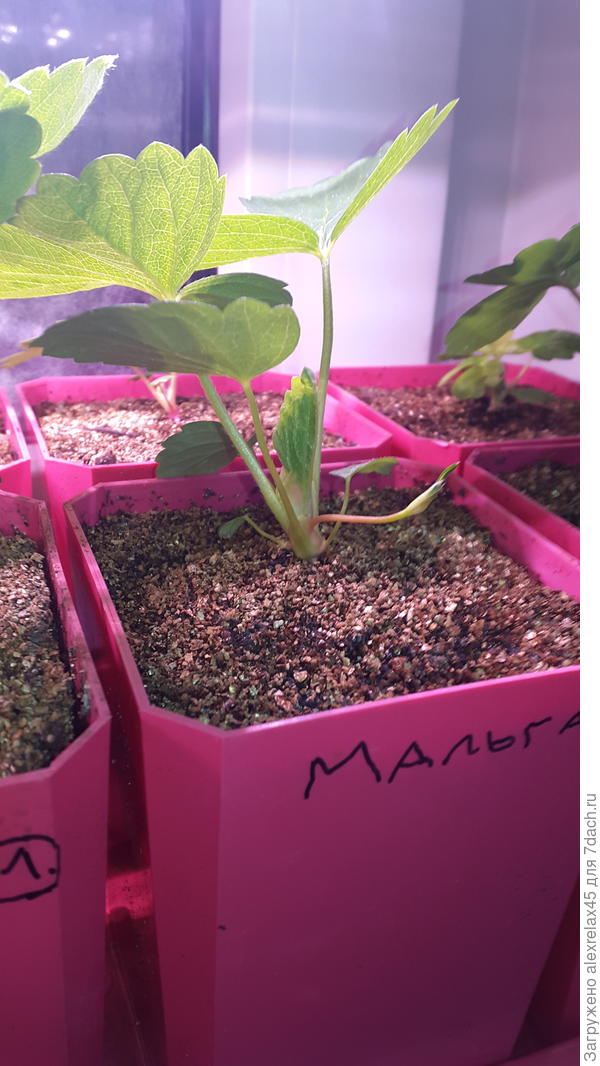 Такие дела....