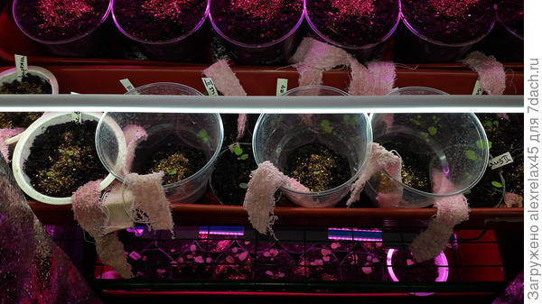 Был фитиль, стал анти-фитиль