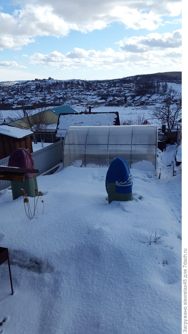 С абрикосиков зимние шубки ещё не снимал.