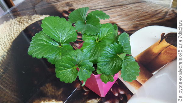 Так выглядит сегодня