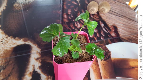 Такой был 3.03.2023 г.