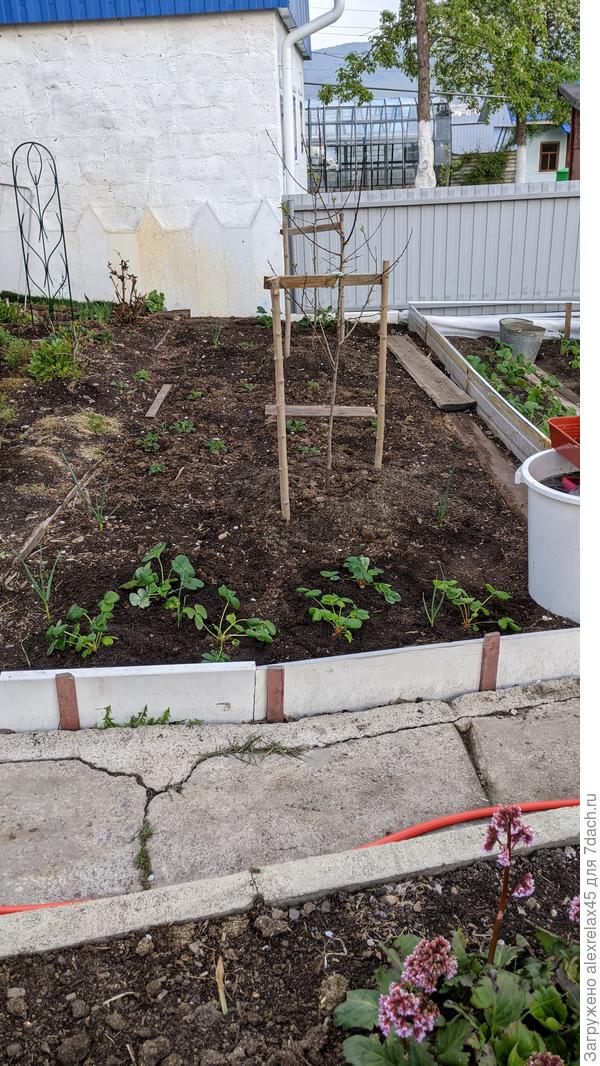 Елизавета 2