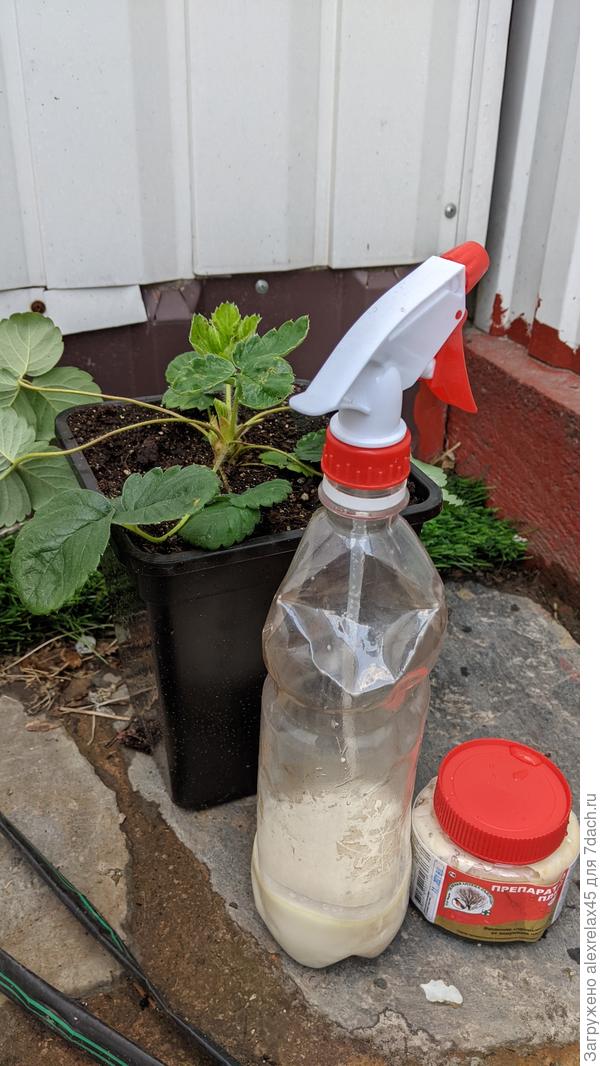 Развел немного