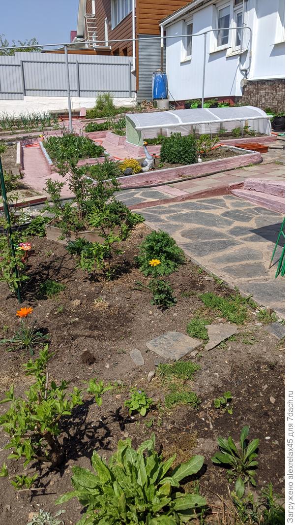 Сделал укрытие из спанбонда для &amp;quot;Альбиона&amp;quot; из семян, ну типа &amp;quot;яселек&amp;quot;