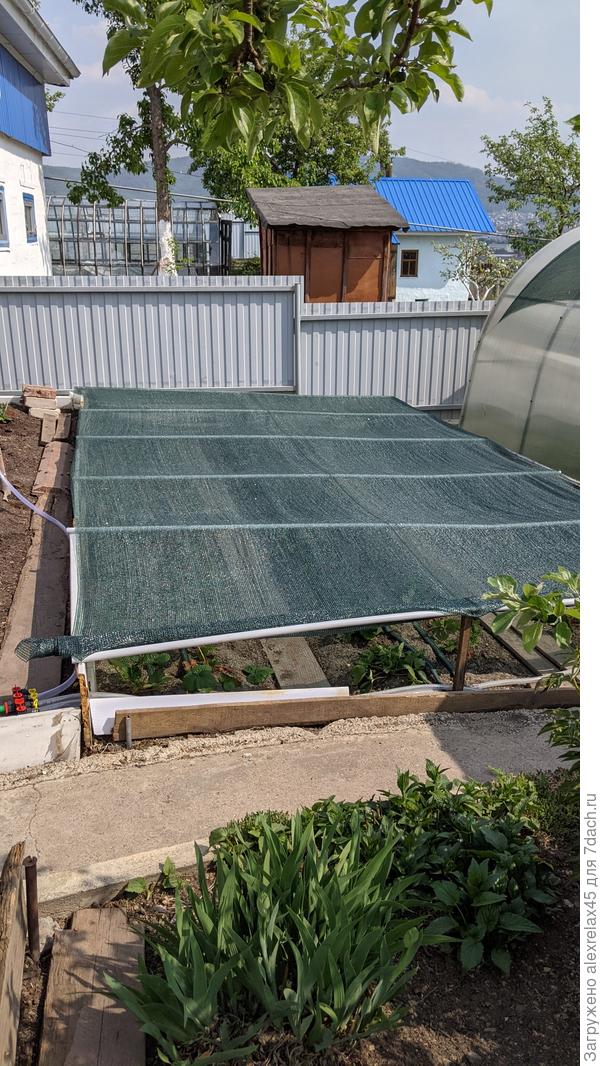 Даже итальянцев с американцами решил притенить