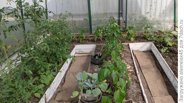 Вот так выглядят сейчас