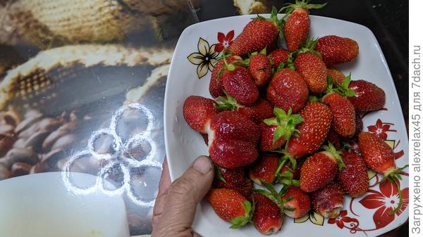 Немного схватили гниль после дождя, но вкусные !!!