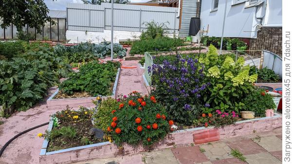 Когда &quot;сооружал&quot; грядки, о поливе не думал. Сейчас даже с шлангом по этим грядкам минут пятнадцать-двадцать &quot;кружить&quot;