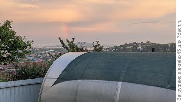 Обещанный вчера дождь даже  треть бочки не заполнил. Опять всё боком прошло. Только кусочек радуги посмотрел.