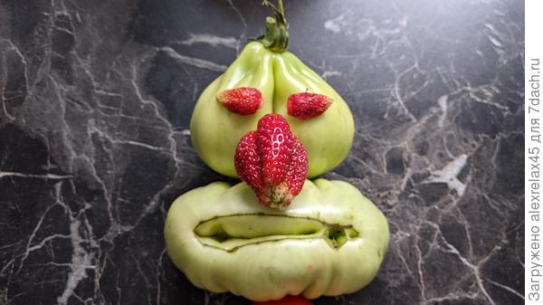 Томаты негодуют....