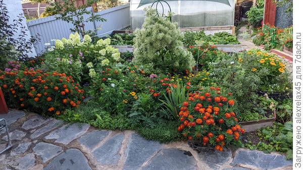 Цветочки не так требовательны....