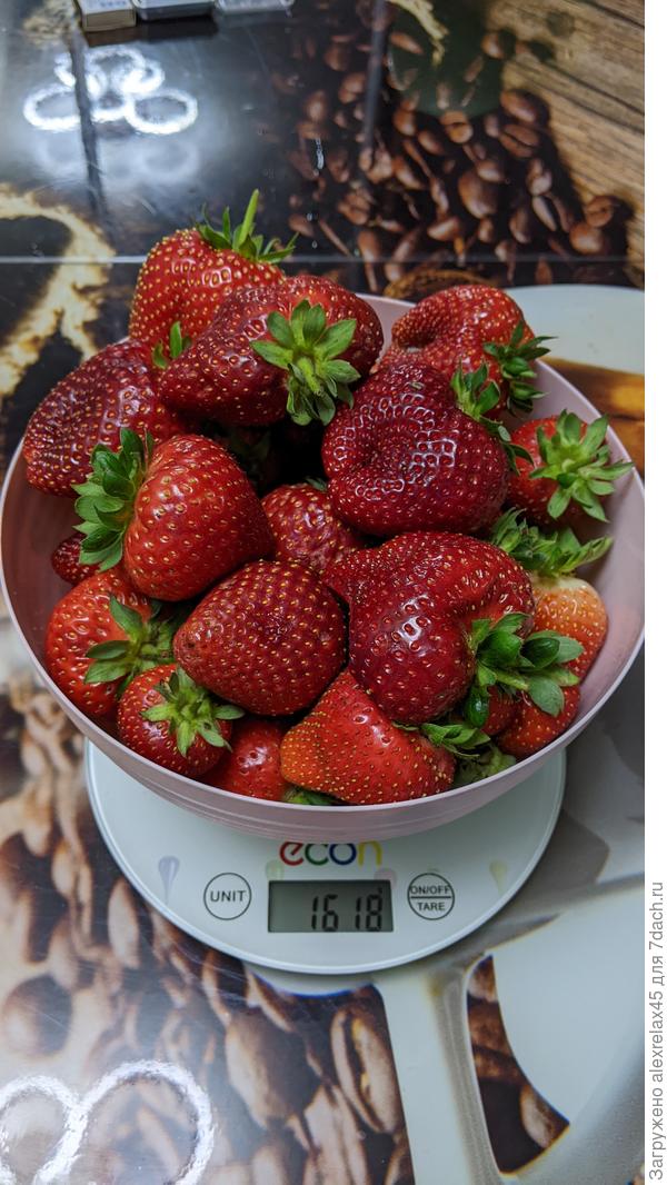 Первый был меньше.