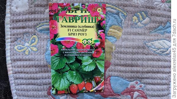 Всхожесть так себе, но результат впечатлил