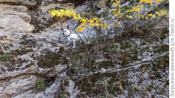 Юный наблюдатель