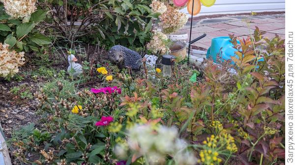 &amp;quot;Братва&amp;quot; кучкуется перед предстоящими заморозками