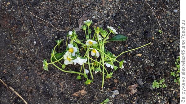 Добавились за сутки...или "прошляпил"...или "чудеса" какие-то