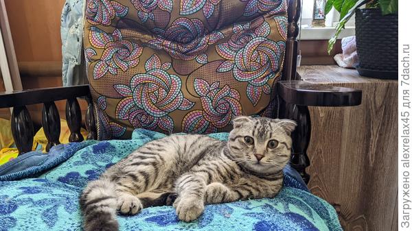 виновник торжества