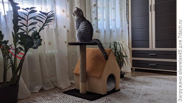 Можно поспать, если что - предупредит.