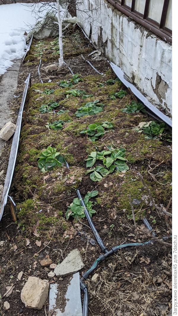 Азия и Элиани, укрывал иглопробивным материалом