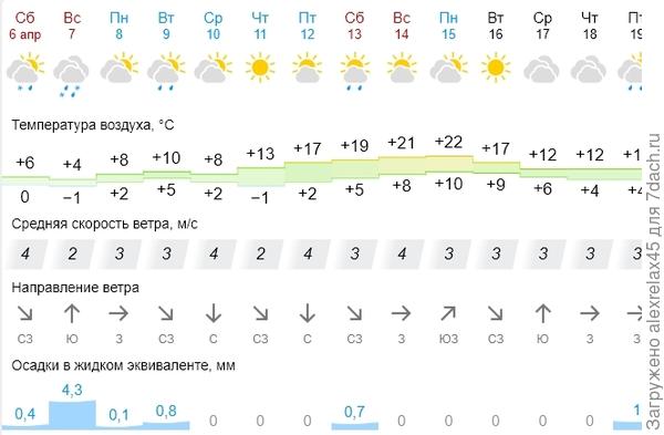 Материалы по теме прививка растений