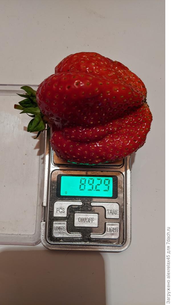 Азия меня немного шокировала... первогодка.