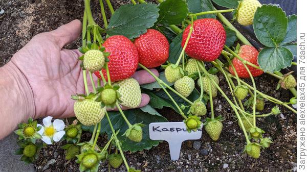 Фото от 10.09.2024