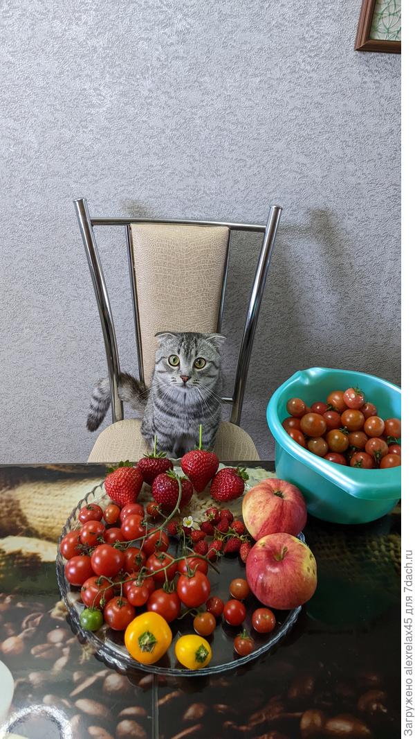 Кушайте на здоровье !